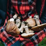 Funghi