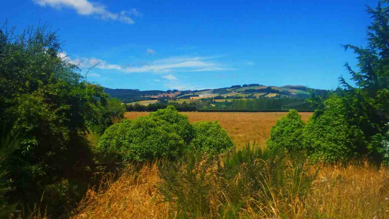 Offerta di lavoro in Nuova Zelanda biodiversità