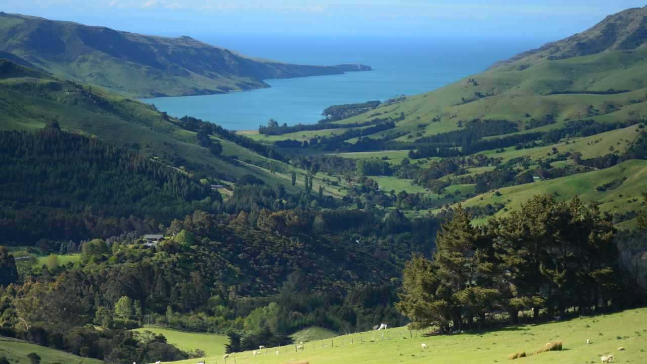 Offerta di lavoro in Nuova Zelanda