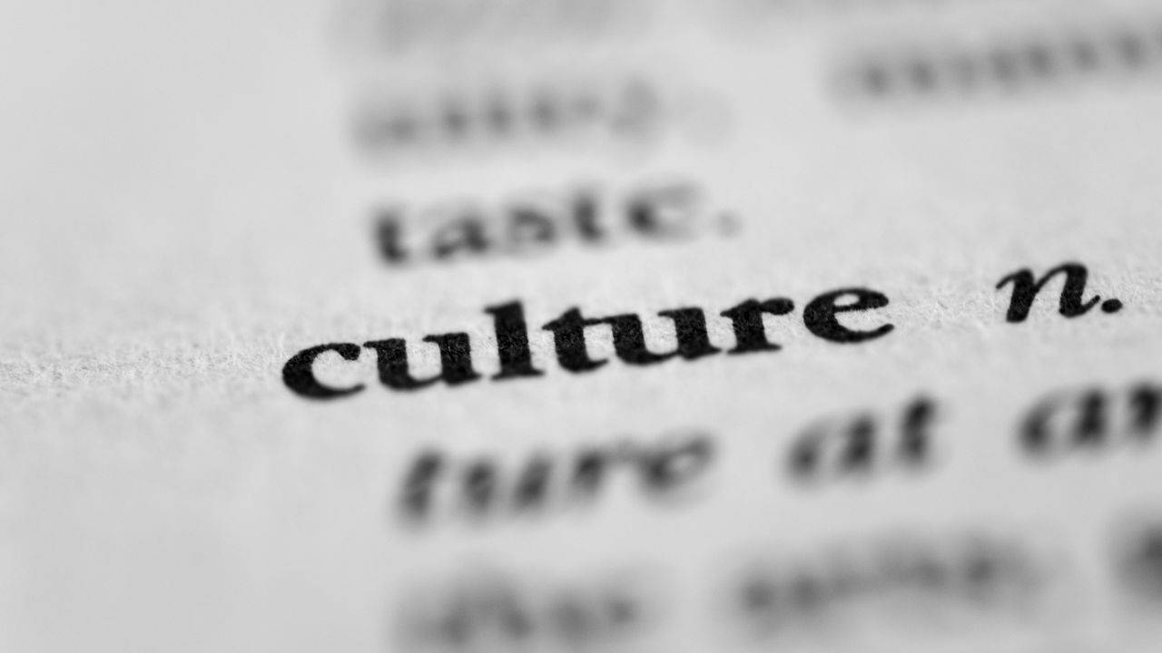 Riforma del bonus cultura