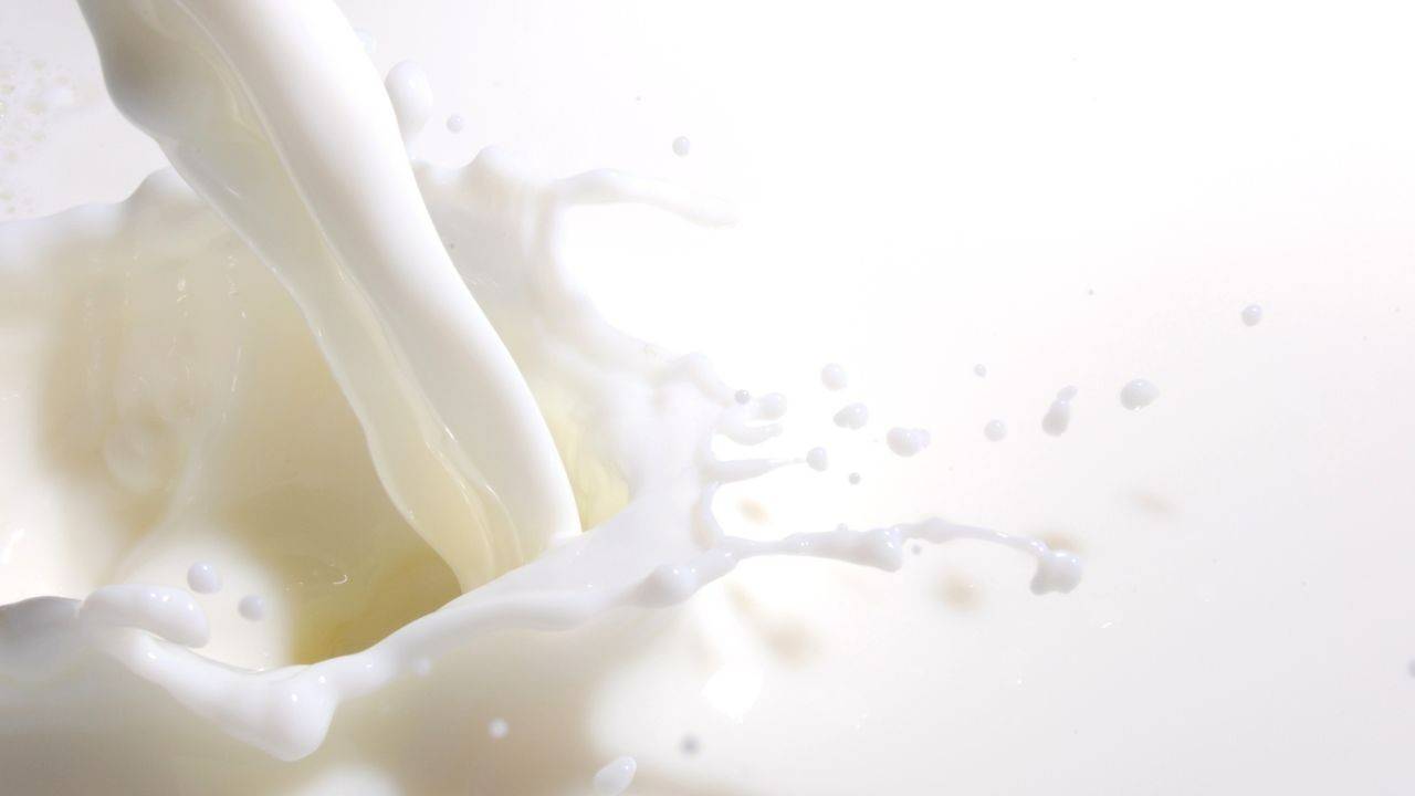 aumento del prezzo del latte allarme aumento del prezzo del latte allarme
